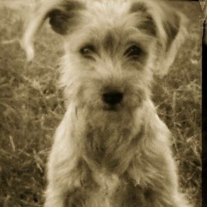 Meet your Posher, Israel